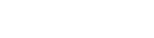 Wayne Plumbers logo